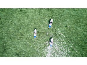 プランの魅力 海況に合わせてルートを調整 の画像