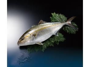 プランの魅力 Amberjack の画像