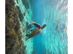 プランの魅力 GoPro無料レンタル＆写真や動画は無料プレゼント！ の画像