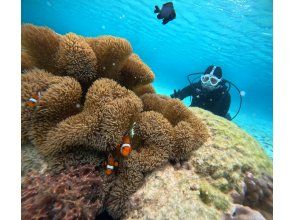 プランの魅力 GoPro無料レンタル＆写真や動画は無料プレゼント！ の画像