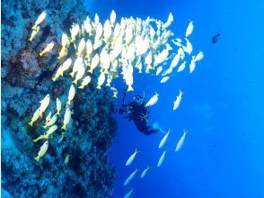 プランの魅力 The highlights are at each point の画像