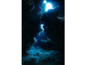 プランの魅力 A real underwater cave の画像