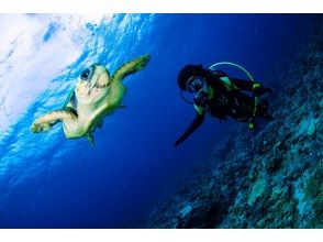 プランの魅力 水中には様々な生物つの出会い！ の画像