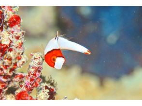 プランの魅力 Leave it to us to entertain you in a way that suits your needs!! の画像