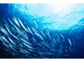 プランの魅力 Everything... の画像