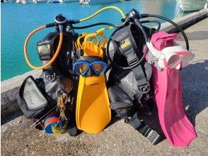 プランの魅力 Colorful flowers? の画像