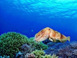 プランの魅力 If you need any equipment, we will provide it for you (additional charge). の画像