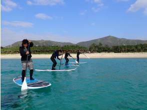 プランの魅力 DAY SUP Cruising Tour の画像