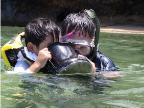 プランの魅力 プチシュノーケル の画像