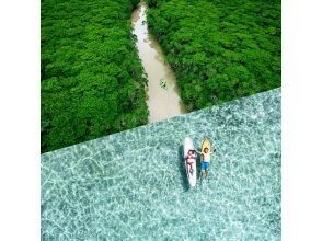 プランの魅力 A first for Ishigaki Island! Enjoy the blue and green scenery in one tour with mangrove and ocean drone photography! の画像