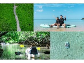 プランの魅力 石垣島初!マングローブ&海ドローン撮影付で青と緑の景色が1つのツアーで楽しめる! の画像