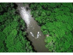 プランの魅力 A first for Ishigaki Island! Enjoy the blue and green scenery in one tour with mangrove and ocean drone photography! の画像