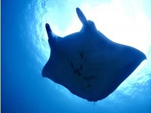 プランの魅力 No.1 in manta encounters in Japan. の画像