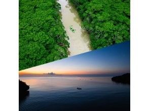 プランの魅力 A first for Ishigaki Island! Mangrove & Sunset Drone! の画像