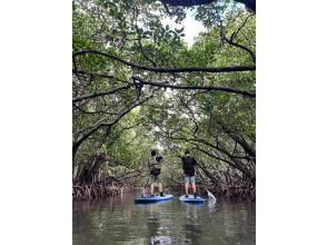 プランの魅力 誰でも乗りやすいSUPボードを使用！ の画像