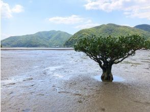 プランの魅力 When the tide goes out... の画像