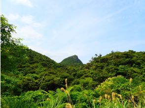 プランの魅力 初心者の方も安心の少人数制☆ の画像