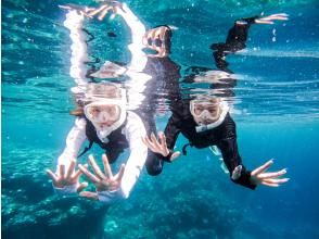 プランの魅力 透明度抜群の海でシュノーケル の画像