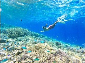 プランの魅力 天然水族館！ の画像