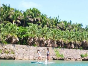 プランの魅力 新感覚！SUP（Stand Up Paddleboad) の画像