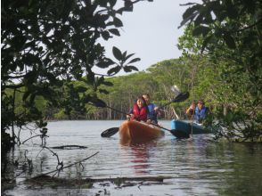 プランの魅力 Kayak の画像