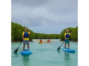 プランの魅力 Yaima Village Squirrel Monkey Tour, Nagra Ampar Mangrove SUP & Kayaking の画像