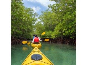 プランの魅力 Yaima Village Squirrel Monkey Tour, Nagra Ampar Mangrove SUP & Kayaking の画像