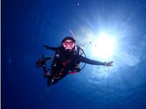 プランの魅力 太陽さんさん！飛んでるよう。 の画像