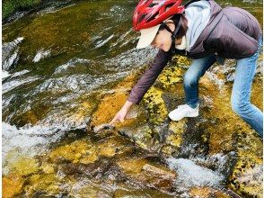 プランの魅力 いろんな生き物に出会えるツアー の画像