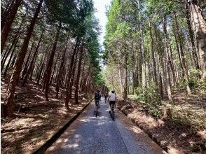 プランの魅力 森林浴サイクリング の画像