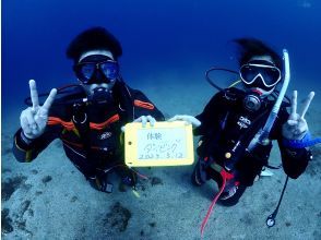 プランの魅力 水中記念写真 の画像