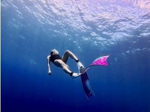 プランの魅力 롱 핀이 무료! の画像