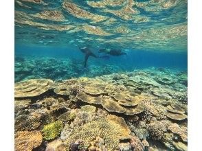 プランの魅力 沖縄県内でも透明度の高い名護の海を満喫♪ の画像