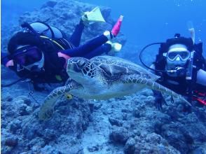 プランの魅力 充実の3ダイブ の画像