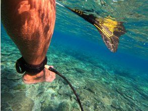 プランの魅力 サンゴの海で最高の癒し！！！ の画像