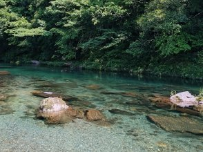 プランの魅力 水質日本一の仁淀ブルー の画像