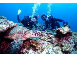 プランの魅力 アオウミガメ！ の画像