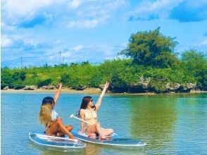 プランの魅力 海龜遭遇率99.9% の画像