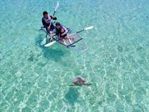 プランの魅力 海龜遭遇率99.9% の画像