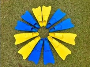 プランの魅力 可愛いフィンをご用意！ の画像