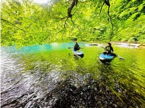 プランの魅力  の画像