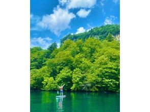 プランの魅力  の画像