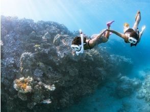プランの魅力 ダイビング の画像