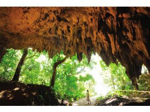 プランの魅力 ガンガラーの谷　ケイブカフェ（サキタリ洞） の画像