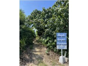 プランの魅力 Beach entrance の画像