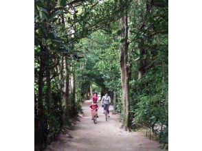 プランの魅力 備瀨福木樹線：約30分鐘 の画像