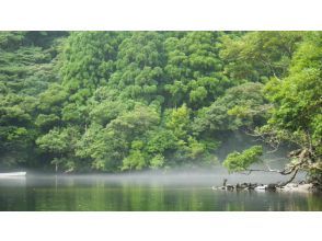 プランの魅力 雨上がりに見る霧風景♪ の画像