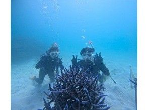 プランの魅力 記念撮影！ の画像