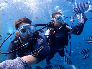 プランの魅力 ボート体験ダイビング の画像