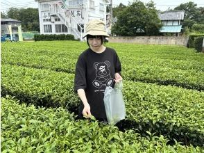 プランの魅力 Harvesting experience の画像